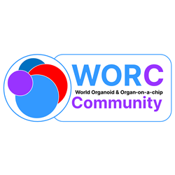 Organoid Spheroid.com and World Organoid Research Day+